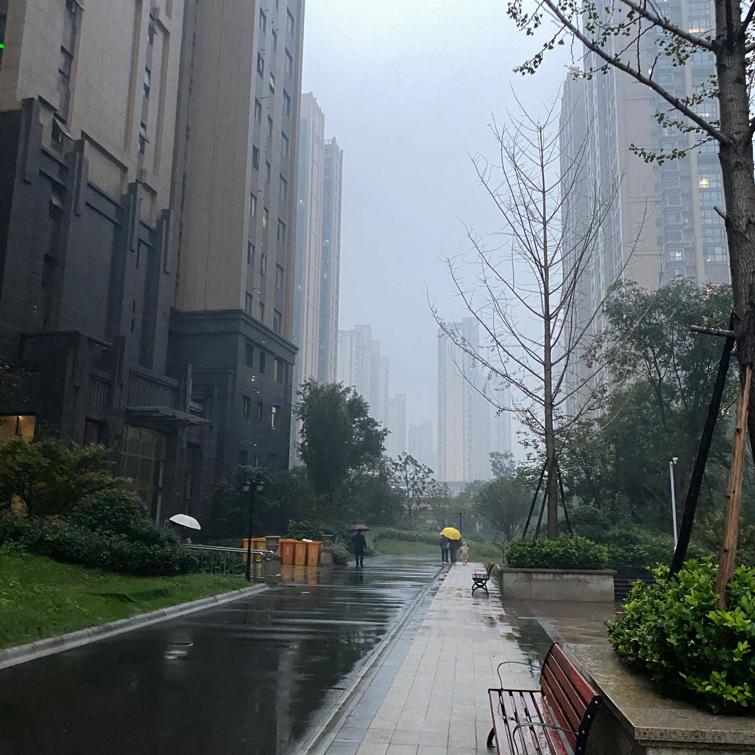 阜阳市今天还有小雨降水过程 21日早上最低气温6℃左右