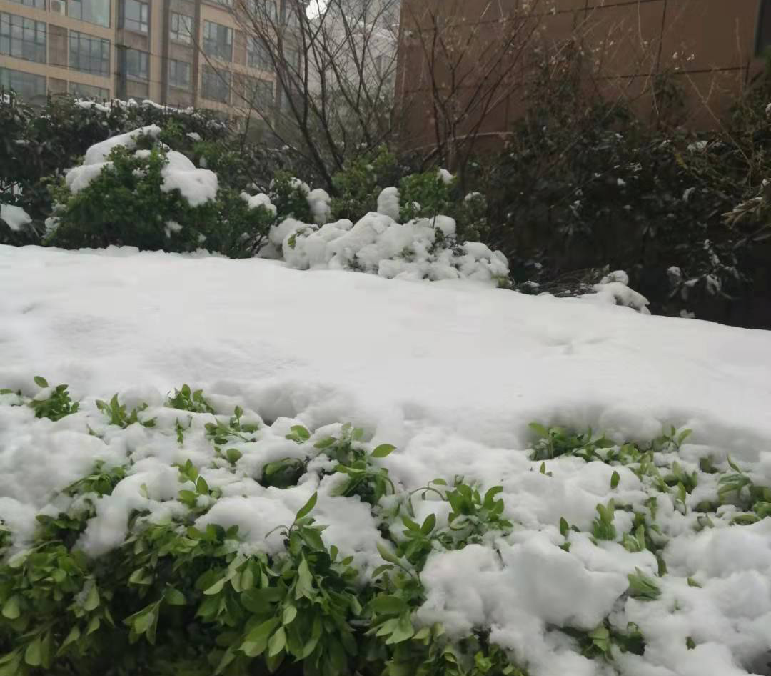 安徽部分地区迎来首场冬雪 今日早晨最低气温1～2℃