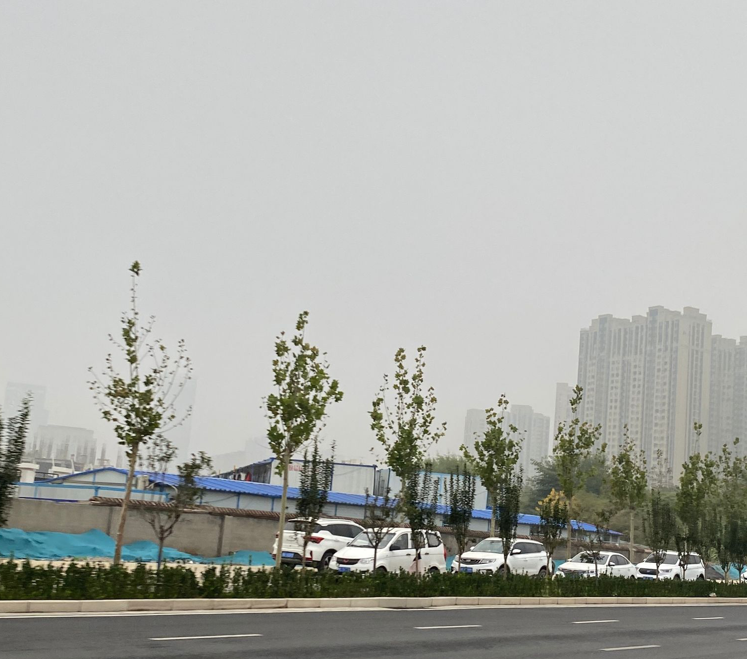 杭州今天白天市区最高气温13℃ 接下来的一周都是晴好天气
