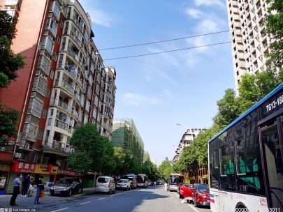 杭州目前共有12条绿道获评全省最美绿道 总量居全省第一