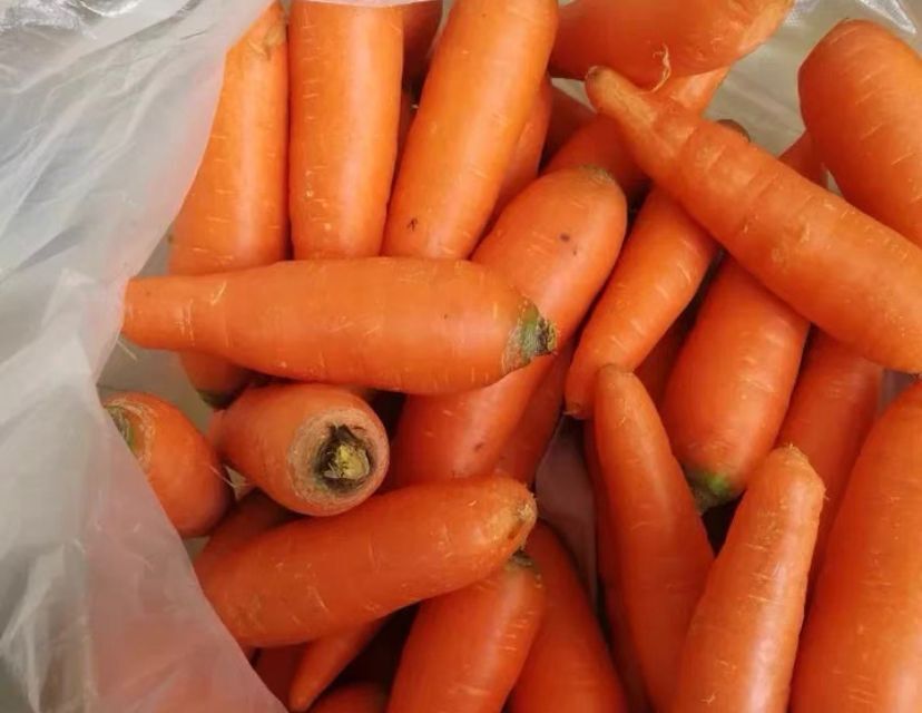 胡萝卜有助于长高吗 胡萝卜怎么保存较好