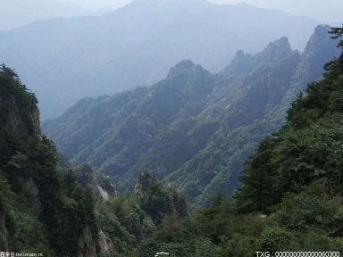 陕西省完成造林任务143.4万亩 秦岭陕西段森林覆盖率达72.95%