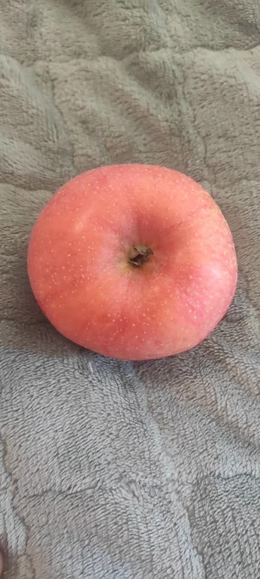 云贵高原上的“幸福慢车”被沿线村民亲切称为”致富快车”