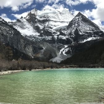 “大雪”节气里的重庆芦花如雪 欣赏另类美景