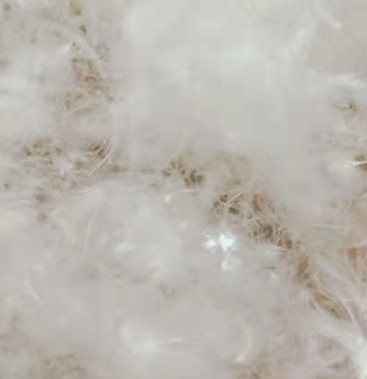 鄂尔多斯的经营业绩增长最为明显 主要源于PVC硅铁及煤炭产品销售