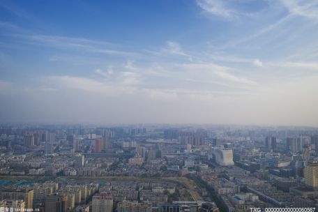 构建中非减贫与发展伙伴联盟 全面推进乡村振兴