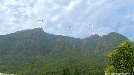 别让“晒着太阳挣钱”被有心人利用 成为农村光伏发电成套路