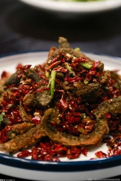 花椒树变成郭河群众“摇钱树” 勾勒出幸福“等高线”