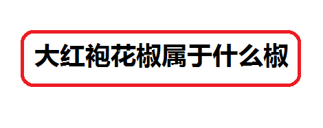 大红袍花椒属于什么椒 花椒和麻椒的区别