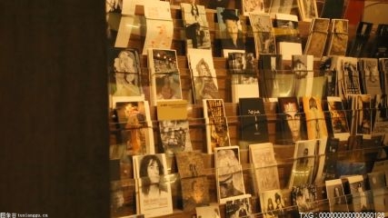 区域经贸合作前景与机遇 助力闽籍青年侨商做大跨境电商