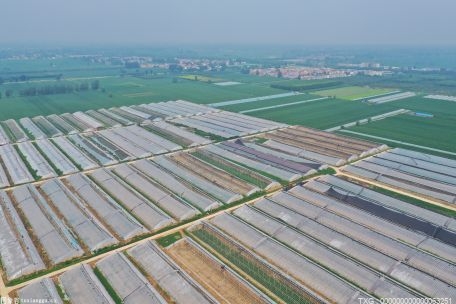 亳州市2021年储备土地15805.75亩