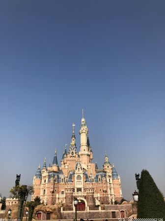 5000多名游客抢购迪士尼达菲系列玩具 背后隐藏什么猫腻