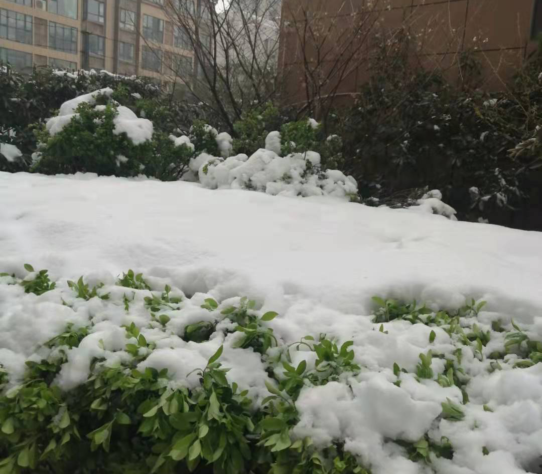 陕西近期中南部有一次雨雪天气过程 西安地区有小雨或者雨夹雪