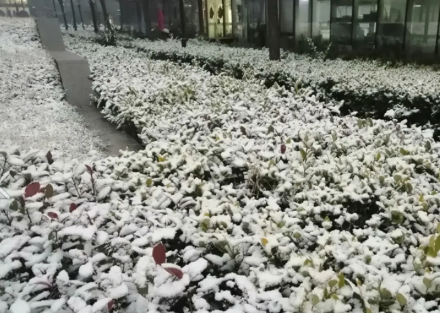 安徽未来一周有雨雪天气 雾霾天气将得到缓解