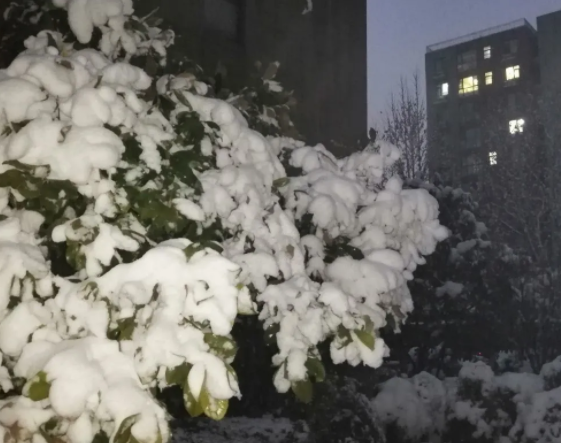 杭州今天后半夜到明天上午阴天 偶有小雨或小雨夹雪