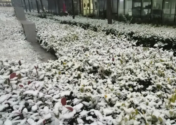 芜湖本周迎来雨雪降温天气 交警部门提醒注意安全谨慎驾驶