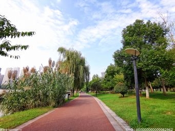 桂城将加快推进多个主题公园建设 打造10分钟体育休闲生活圈