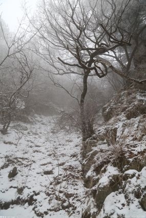 旅游部发布冰雪旅游精品线路 兴山保康跨区域合作