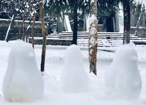 北京稳居春节假期热门城市榜首 南方城市不少冰雪乐园迅速崛起