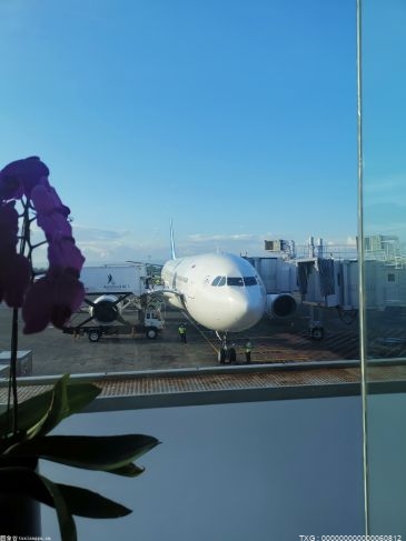 南方航空发布运营数据公告 1月旅客周转量同比上升17.34%