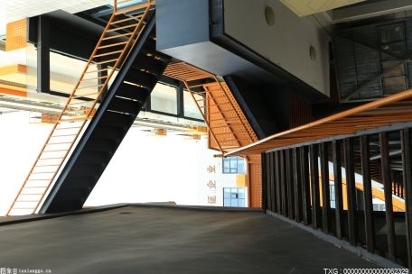 上海建立发挥加梯智囊团 长风新村街道多梯加装