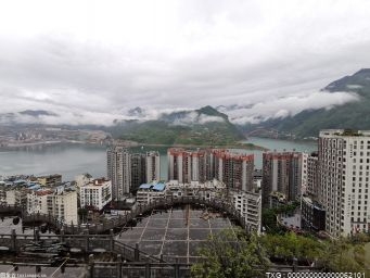 国内SUV销量前四均为自主品牌 纯电汽车同比增长超228% 