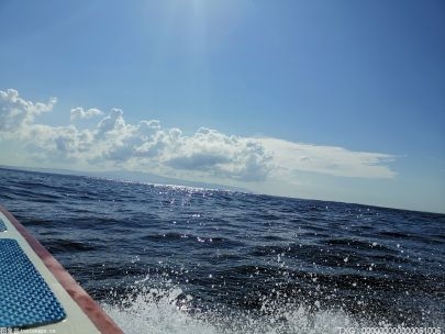 重磅！AJ斯泰尔斯与世界摔有娱乐公司签订新合同