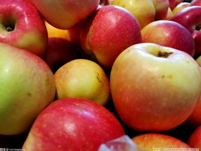 私人订制的苹果苦瓜 去年卖到南方大商超 