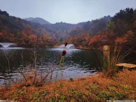 福建光泽：“闲水”变“富水”摸清家底至关重要