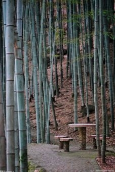 鹿寨：打造螺蛳粉配料生产基地助推乡村振兴