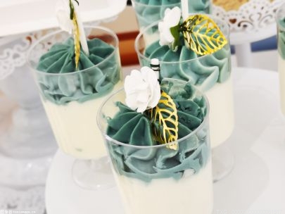 【摔角观察】文斯·麦克曼和帕特·迈克菲在摔角狂热38