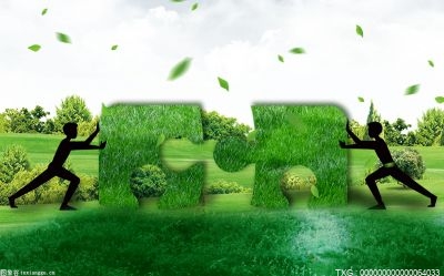 爱绿护绿！宁德市开展植树护绿志愿服务