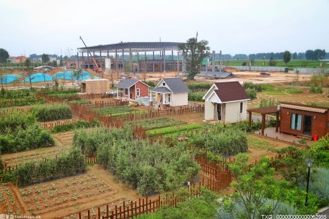 黟县：“飞地模式”助力春耕备耕