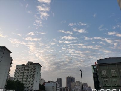 河池宜州：扩大糖料蔗种植规模促进糖业高质量发展