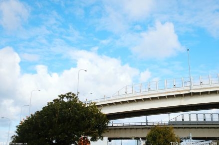 构建乡村振兴人才“磁力场”破解人才瓶颈问题