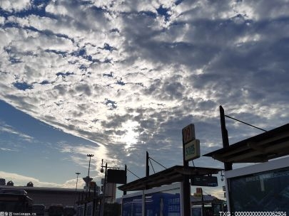 WWE传奇人物送葬者：兰迪奥顿，罗曼雷恩斯