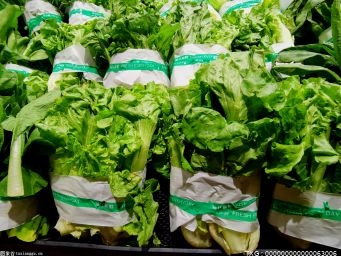 深圳“数字菜篮子”量足价稳，日均来货量超过5000吨