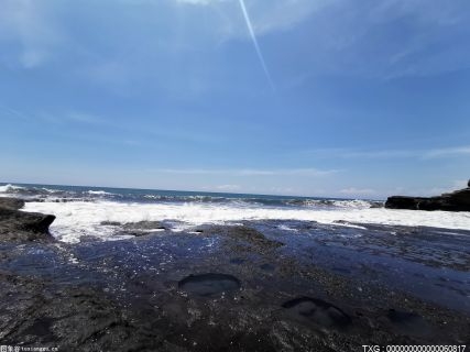 前两个月浙江服务贸易进出口同比增长44.83%