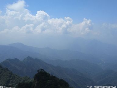 连续5天同时靠满船只！盐田港再次“火力全开”