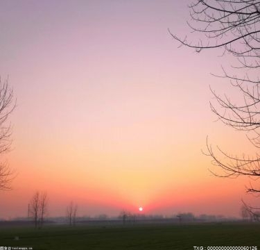 德鲁·麦金泰尔回应TripleH退役：永远不会再参加摔跤