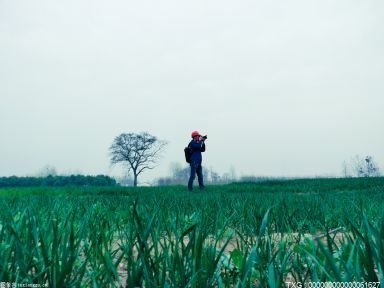 重磅！中国渤海湾首个千亿方大气田开发开工建造