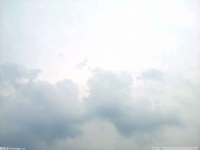 【摔角观察】赛斯罗林斯将与文斯麦克曼进行一场比赛