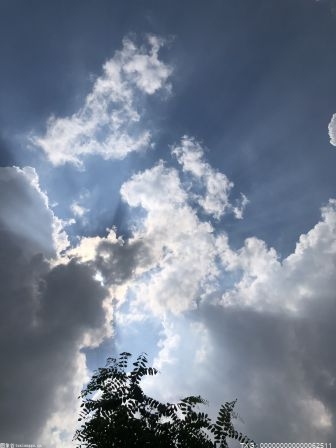 赛斯·罗林斯：事情的另一面，就是人们越来越厌倦