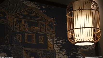 为什么米兹在摔角狂热大赛上背叛了罗根-保罗?