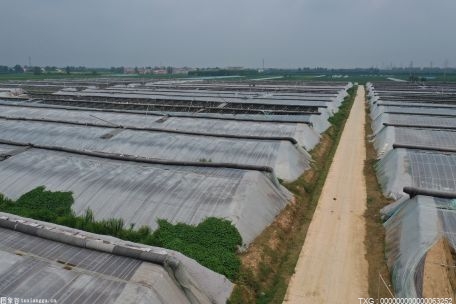 亳州今年将开展采煤沉陷区治理500亩 复垦耕地500亩