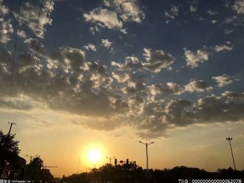 女摔中的天花板夏洛特弗莱尔：我从最肮脏的人身上学会了东西