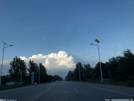 罗曼·雷恩斯打败布洛克·莱斯纳，成为WWE双料冠军