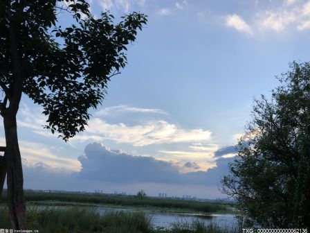 科迪-罗兹:罗曼·雷恩斯与乌索兄弟的六人暗斗