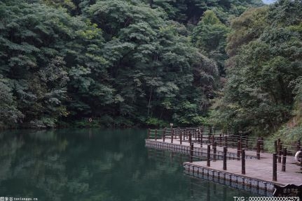 疫情防控期间，交管部门推出6项便民措施