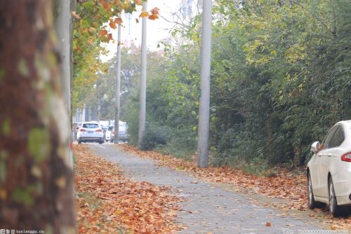 鹿寨县鹿寨镇独羊村：“庭院经济”扮靓山村